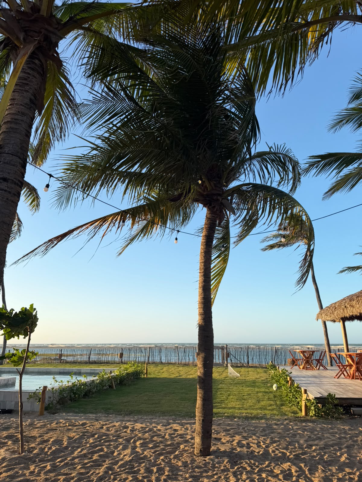 Jardim com coqueiros, piscina e o mar ao fundo durante o dia